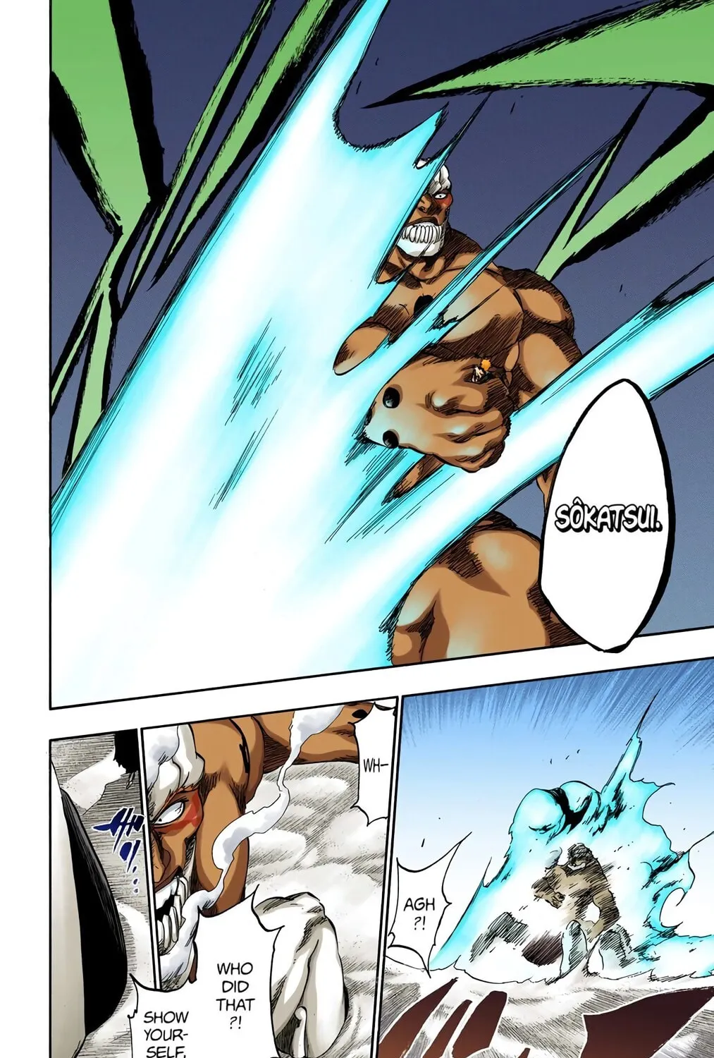 Bleach Colored Manga