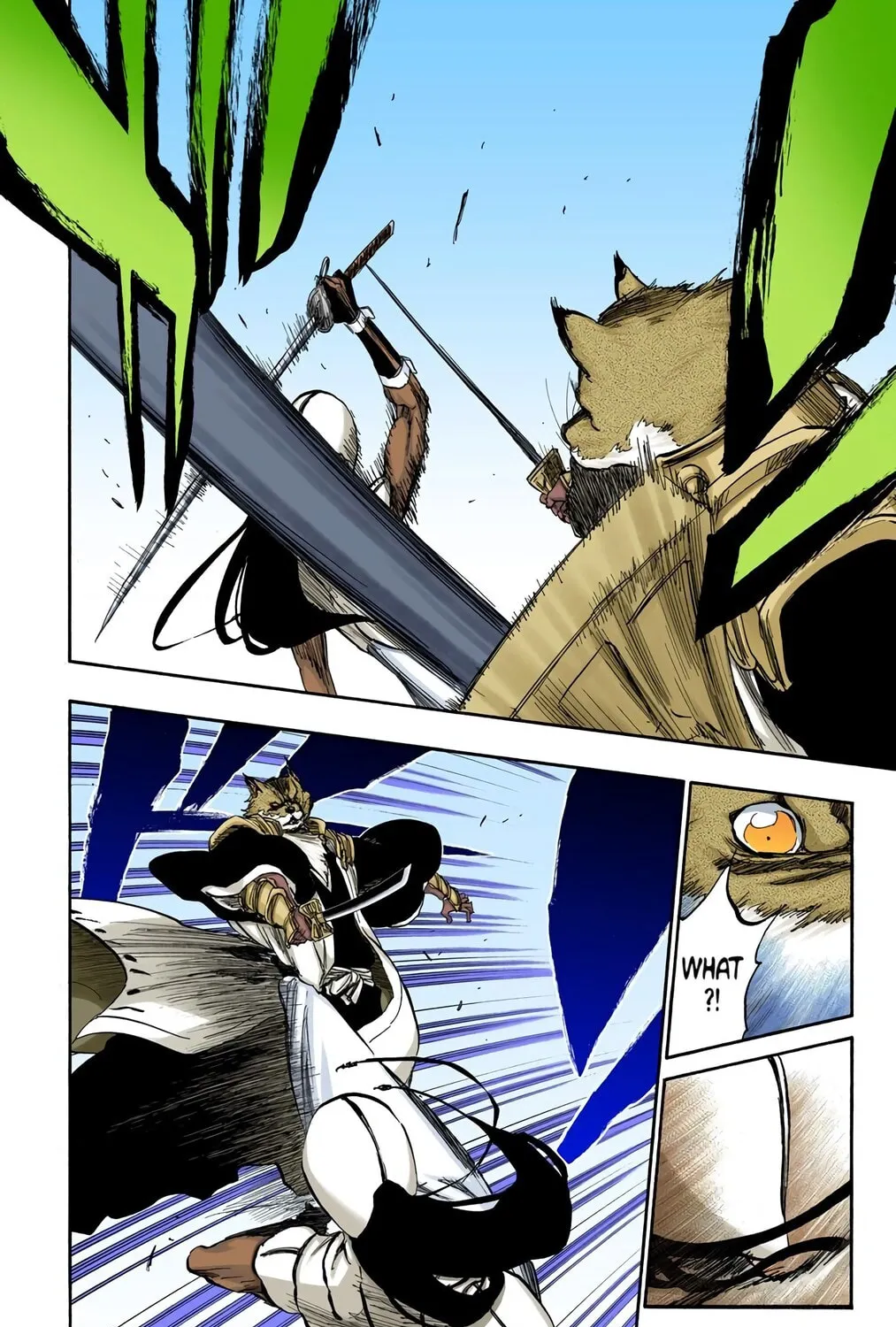 Bleach Colored Manga