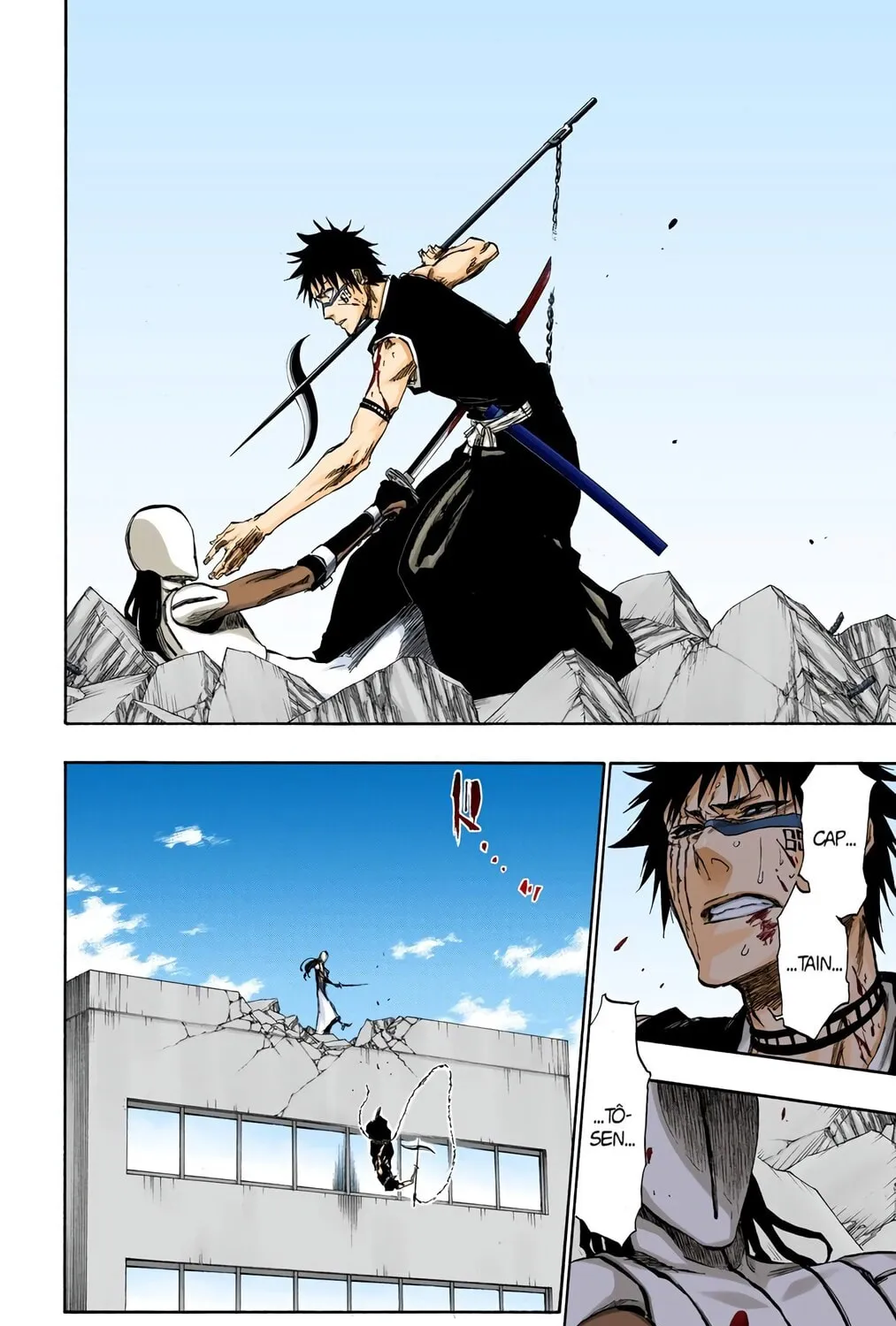 Bleach Colored Manga