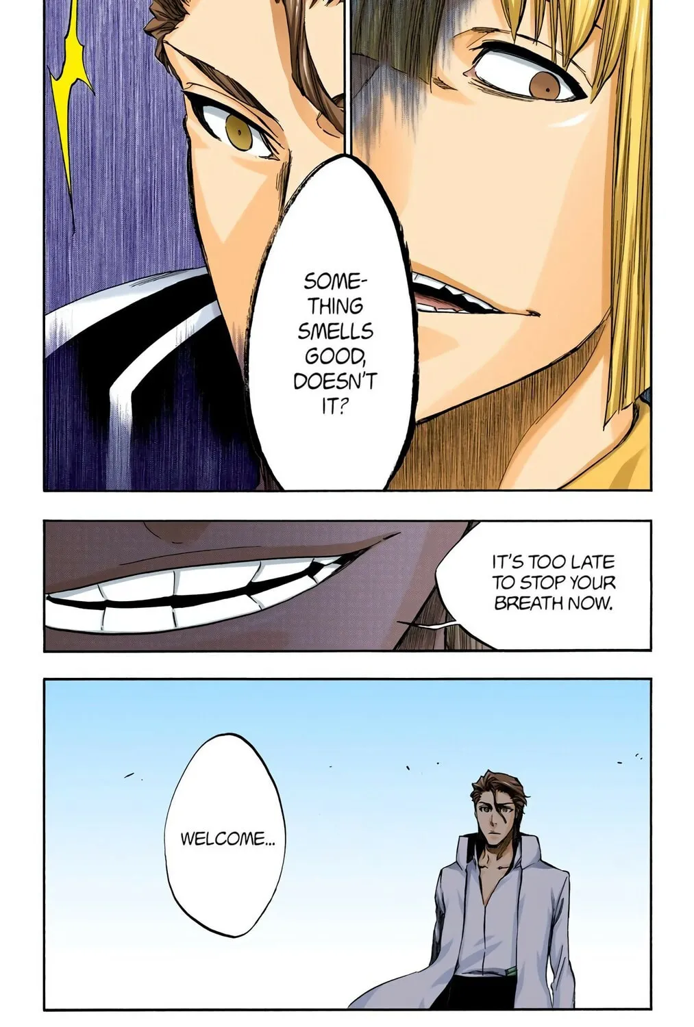 Bleach Colored Manga