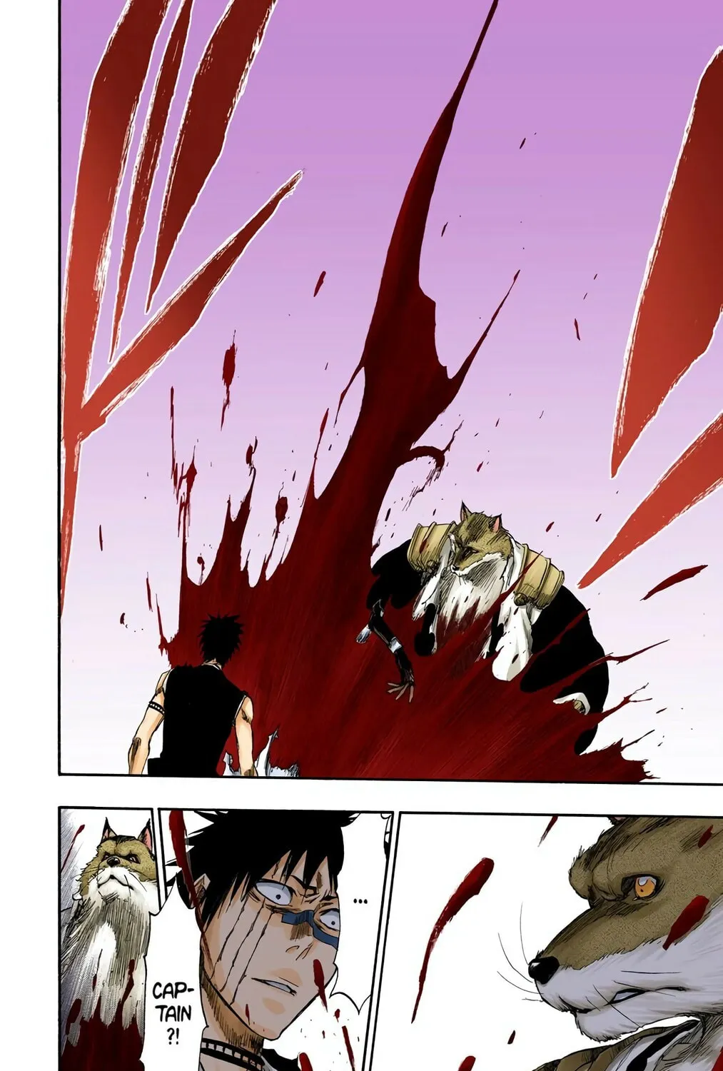 Bleach Colored Manga