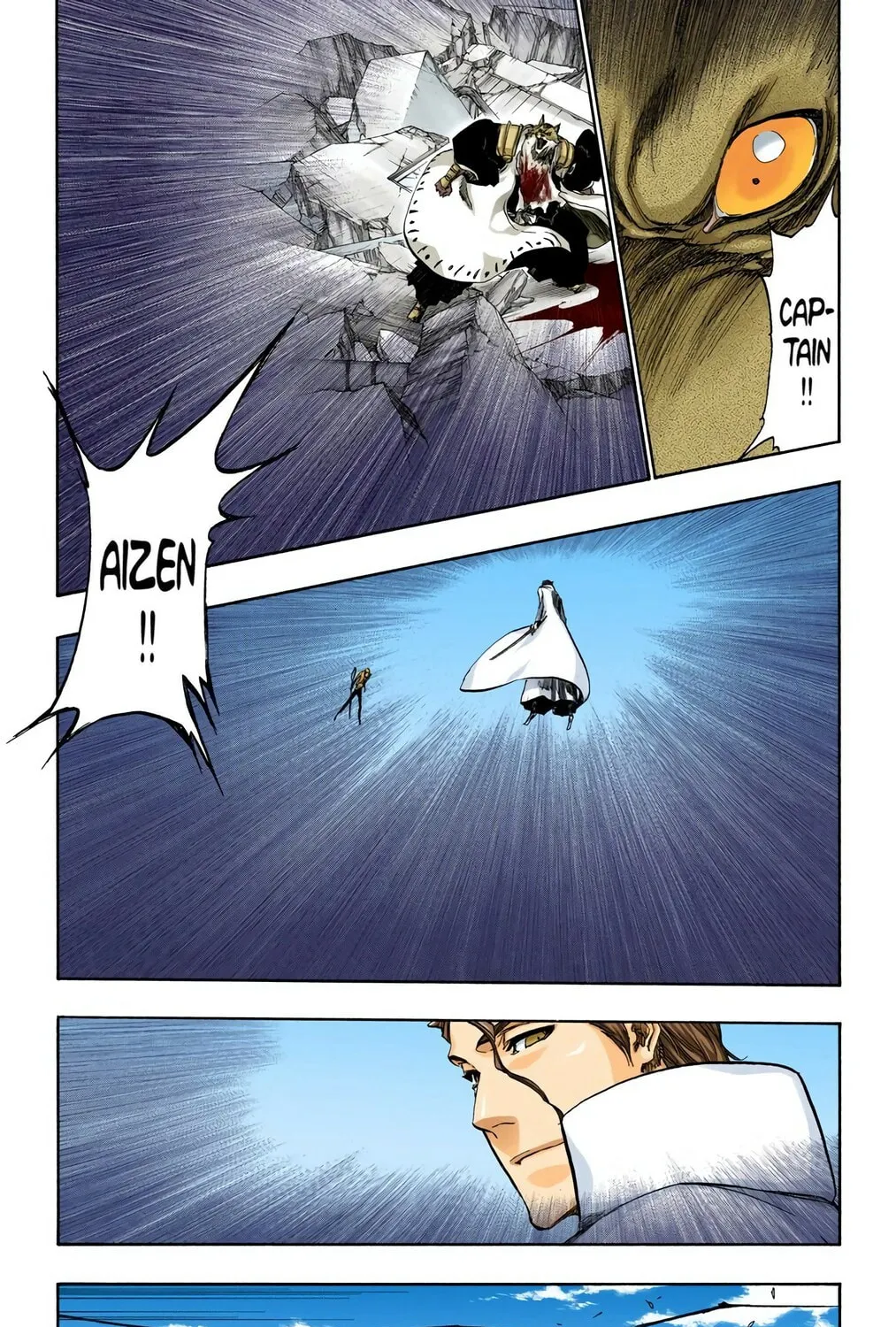 Bleach Colored Manga
