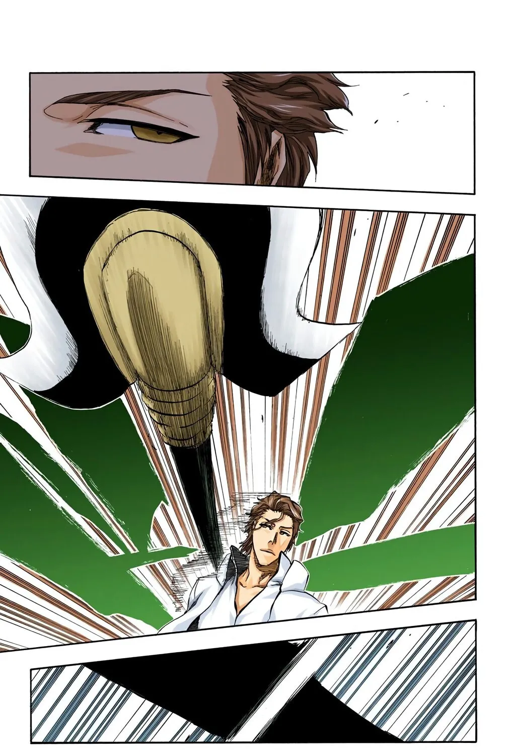 Bleach Colored Manga