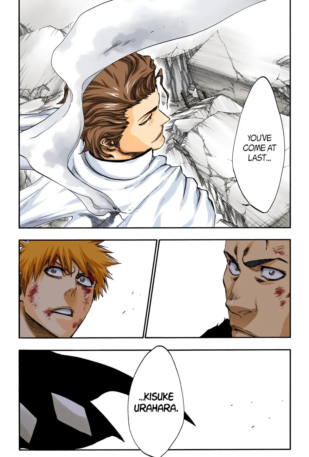 Bleach Colored Manga