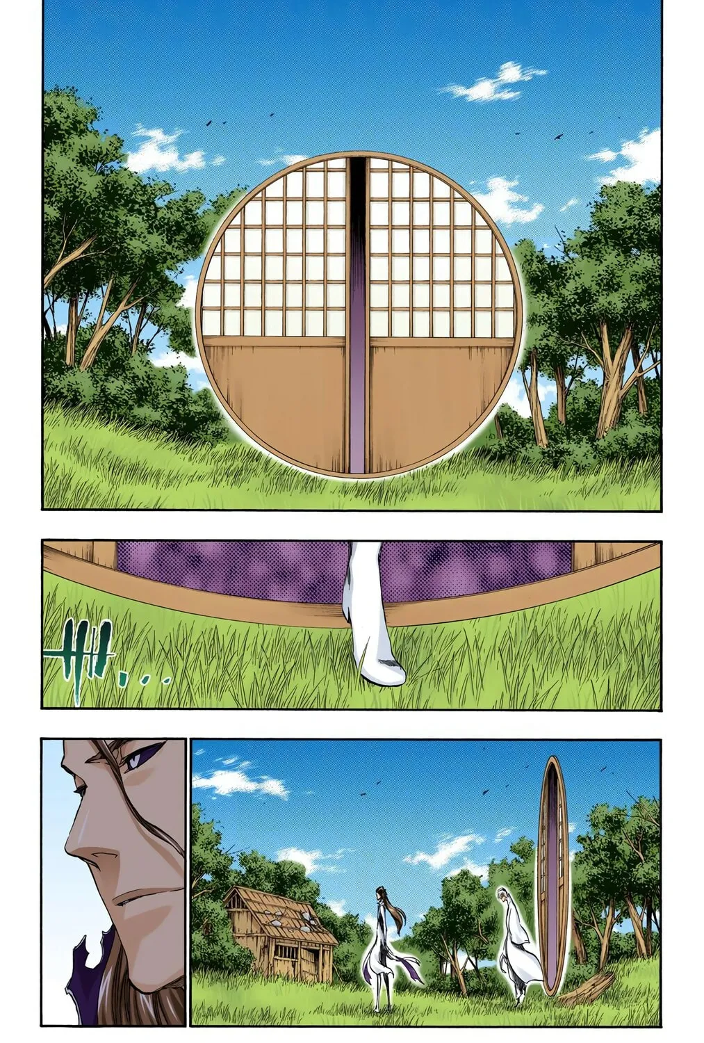 Bleach Colored Manga