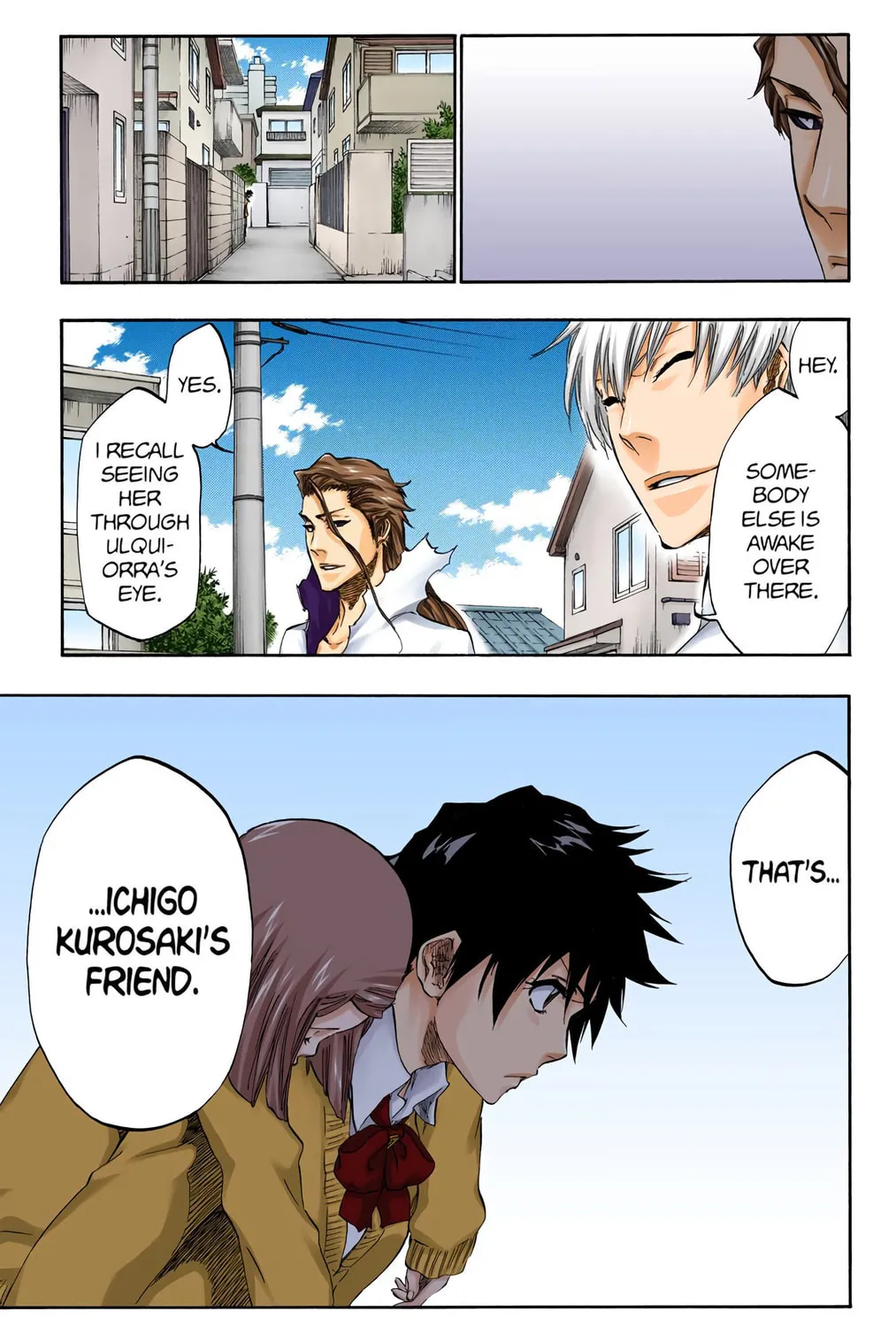 Bleach Colored Manga