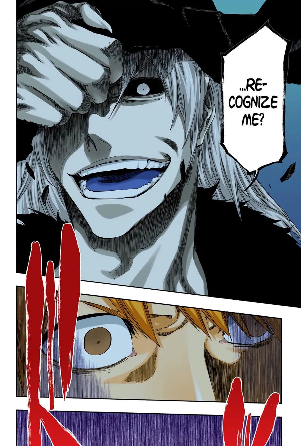 Bleach Colored Manga