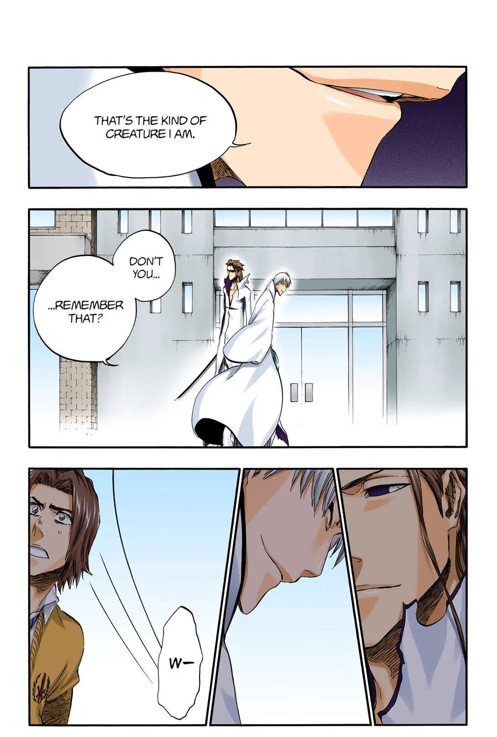 Bleach Colored Manga