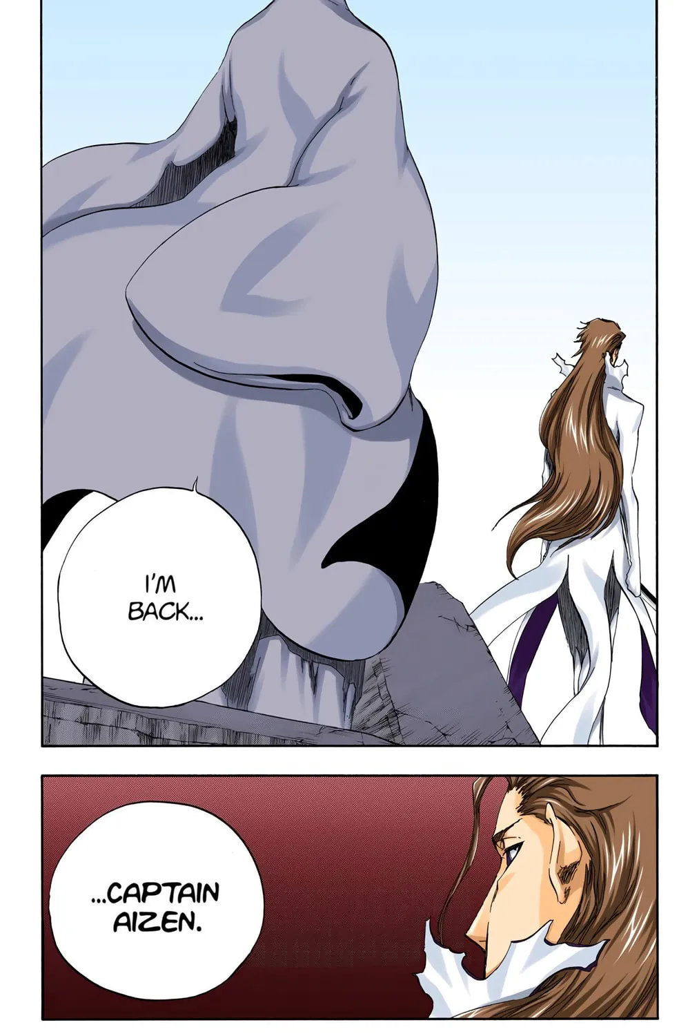 Bleach Colored Manga