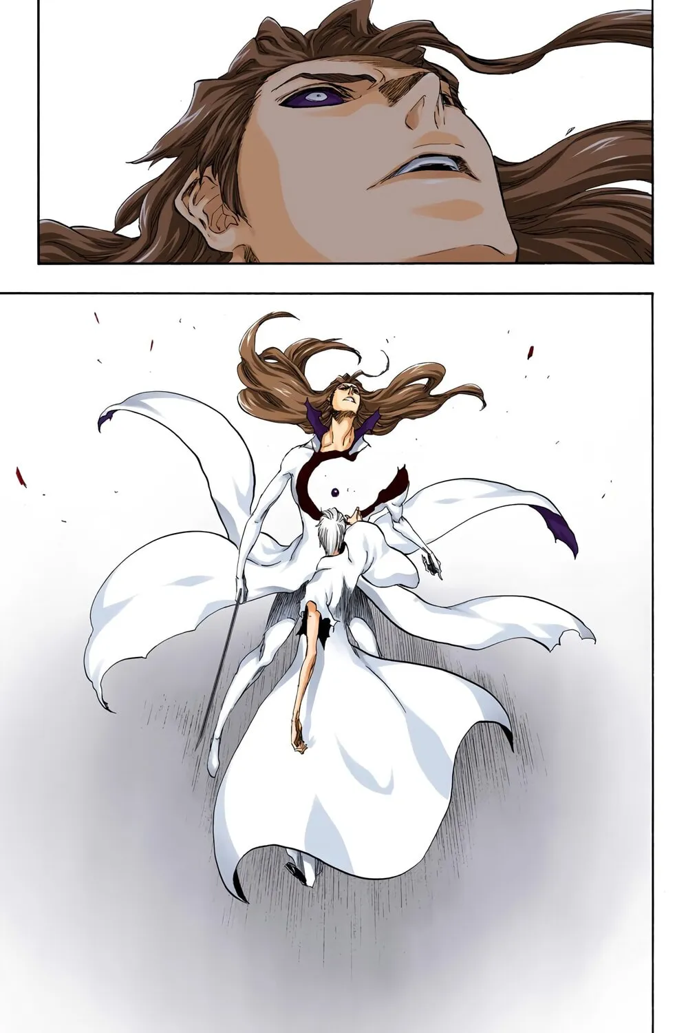 Bleach Colored Manga