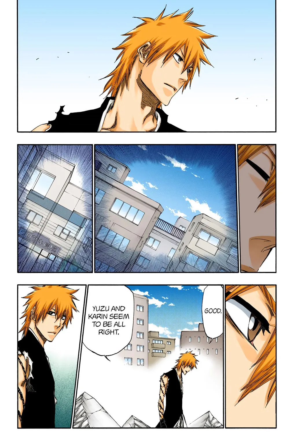 Bleach Colored Manga