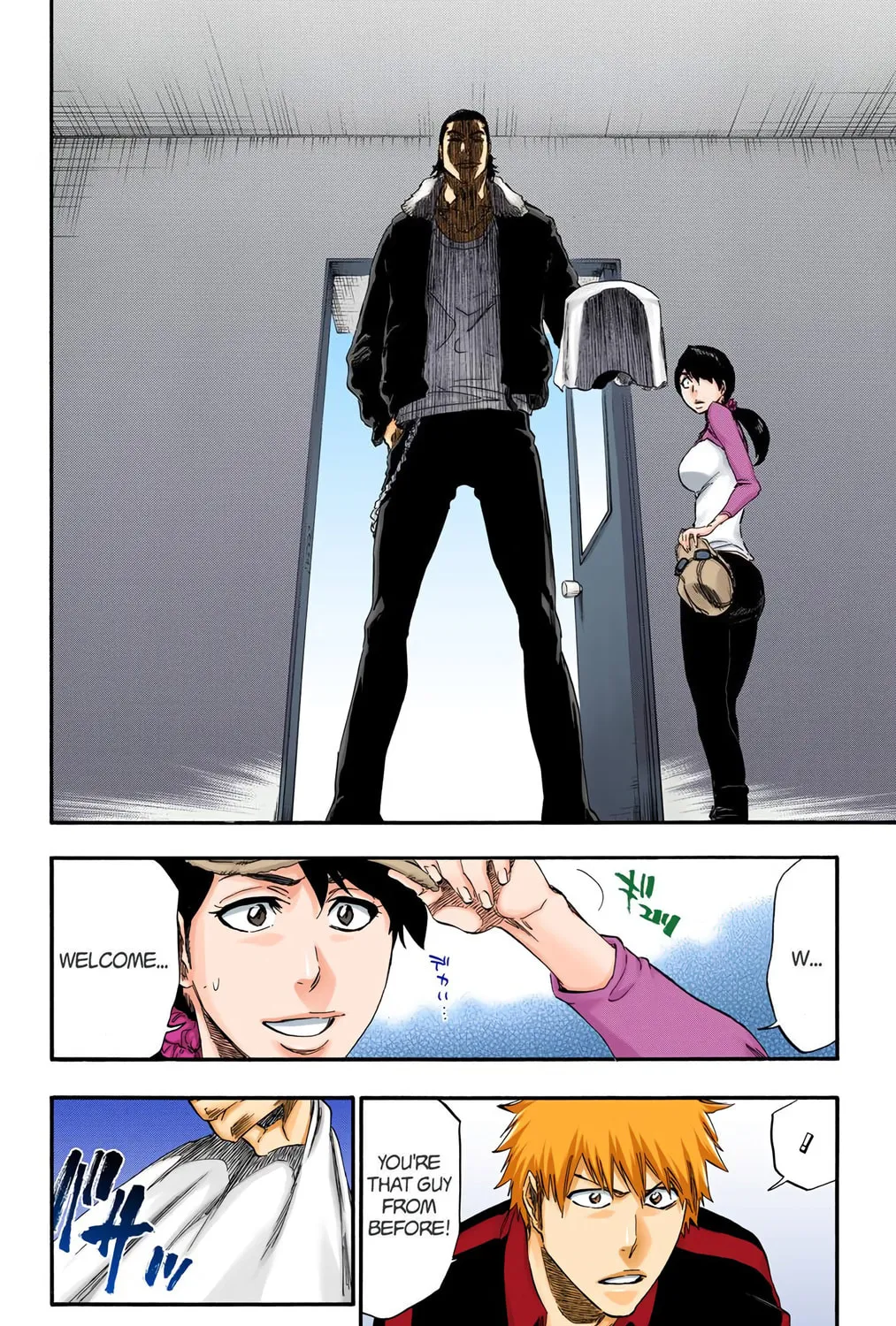 Bleach Colored Manga