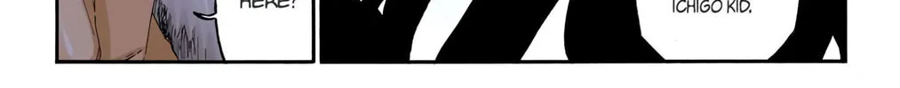 Bleach Colored Manga