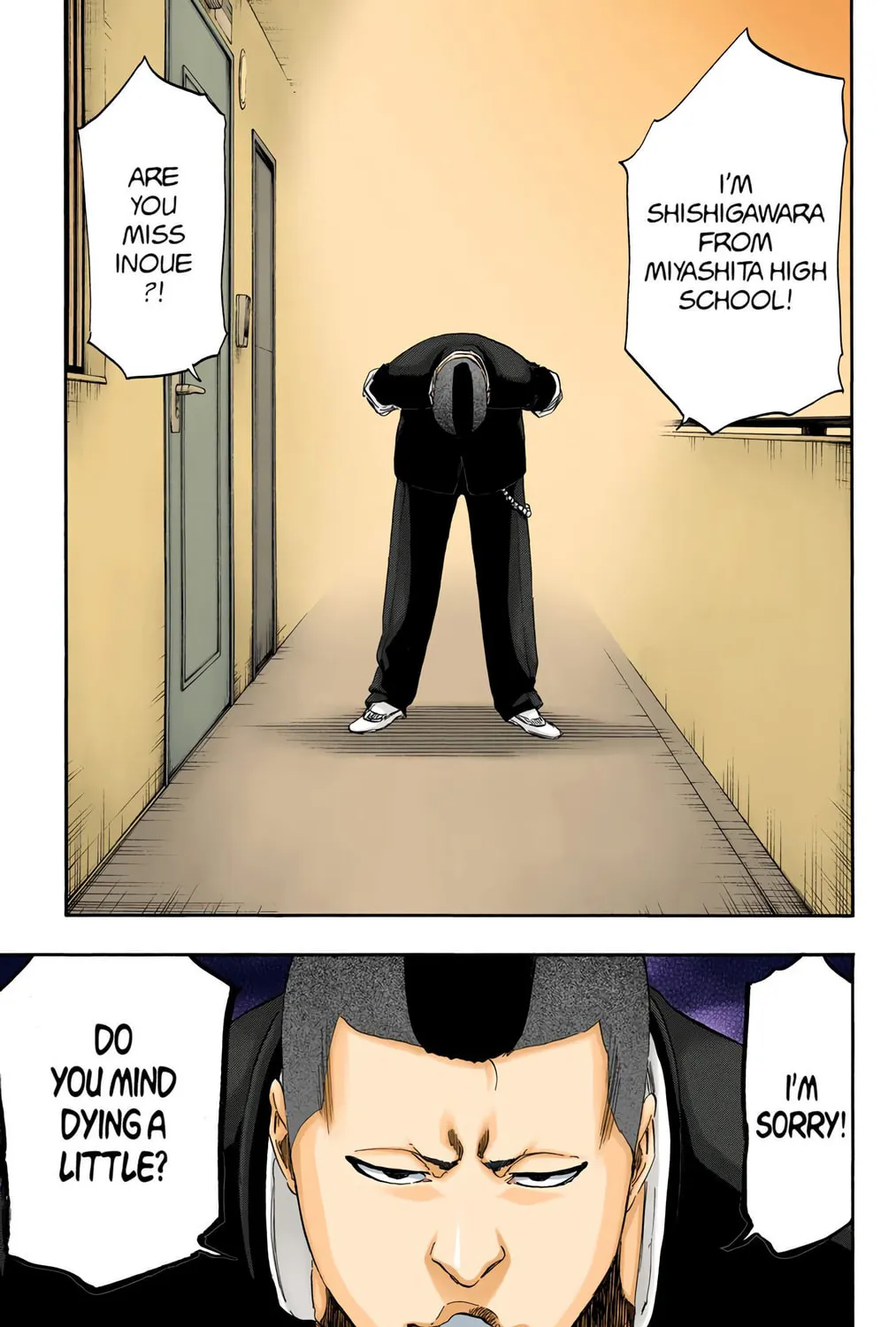 Bleach Colored Manga