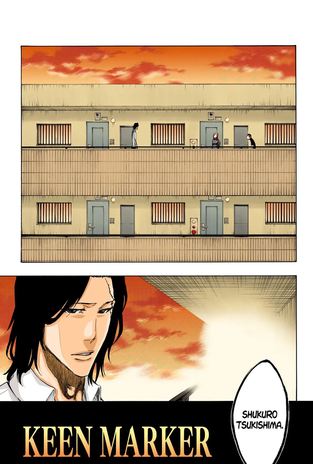 Bleach Colored Manga