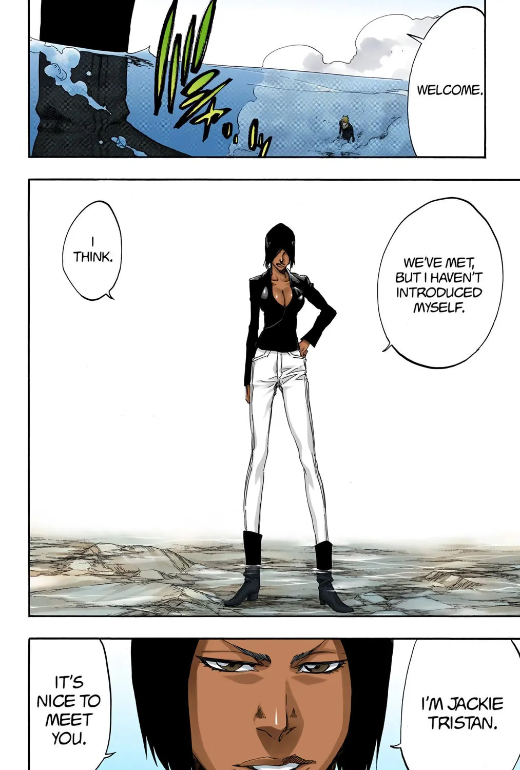Bleach Colored Manga