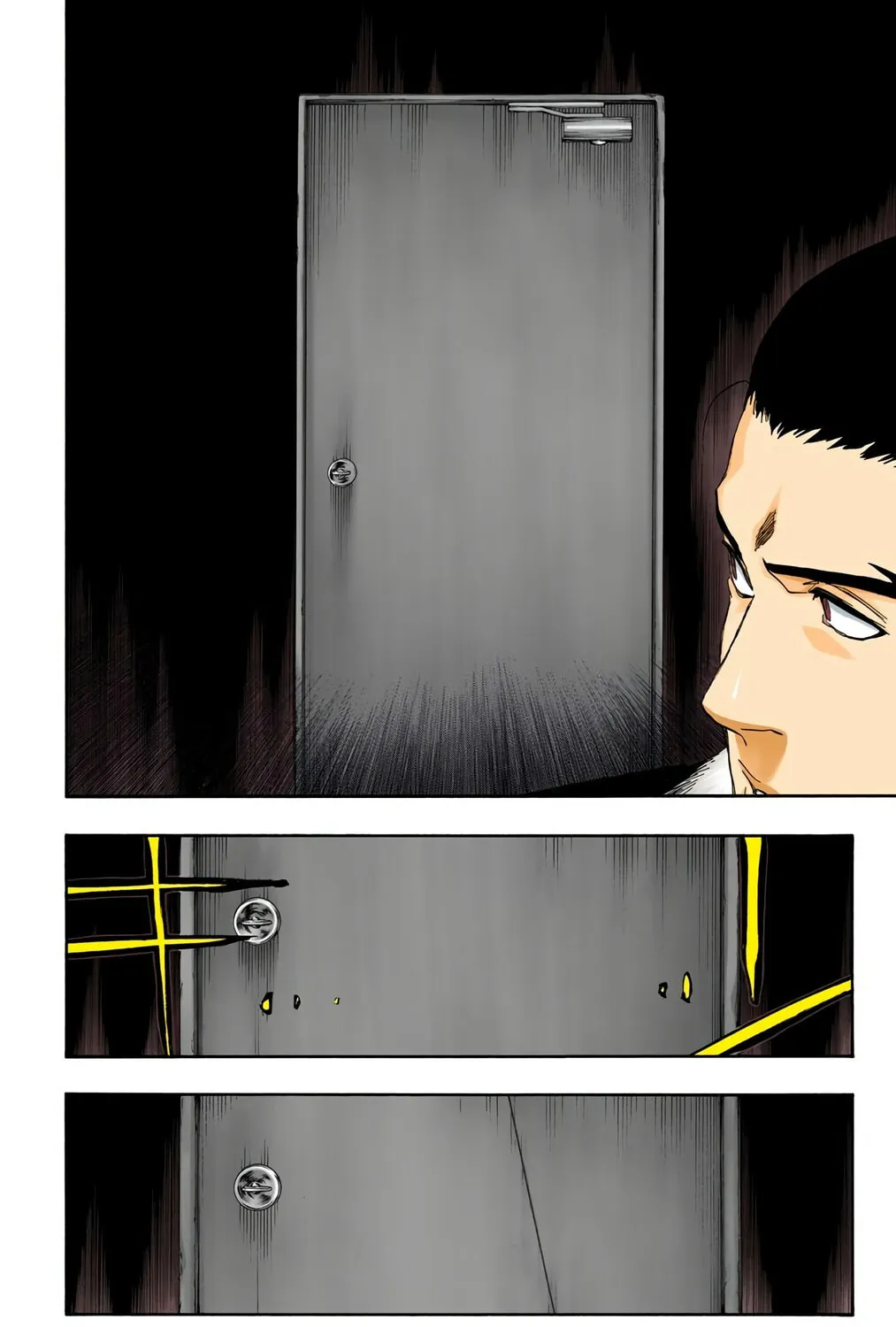 Bleach Colored Manga