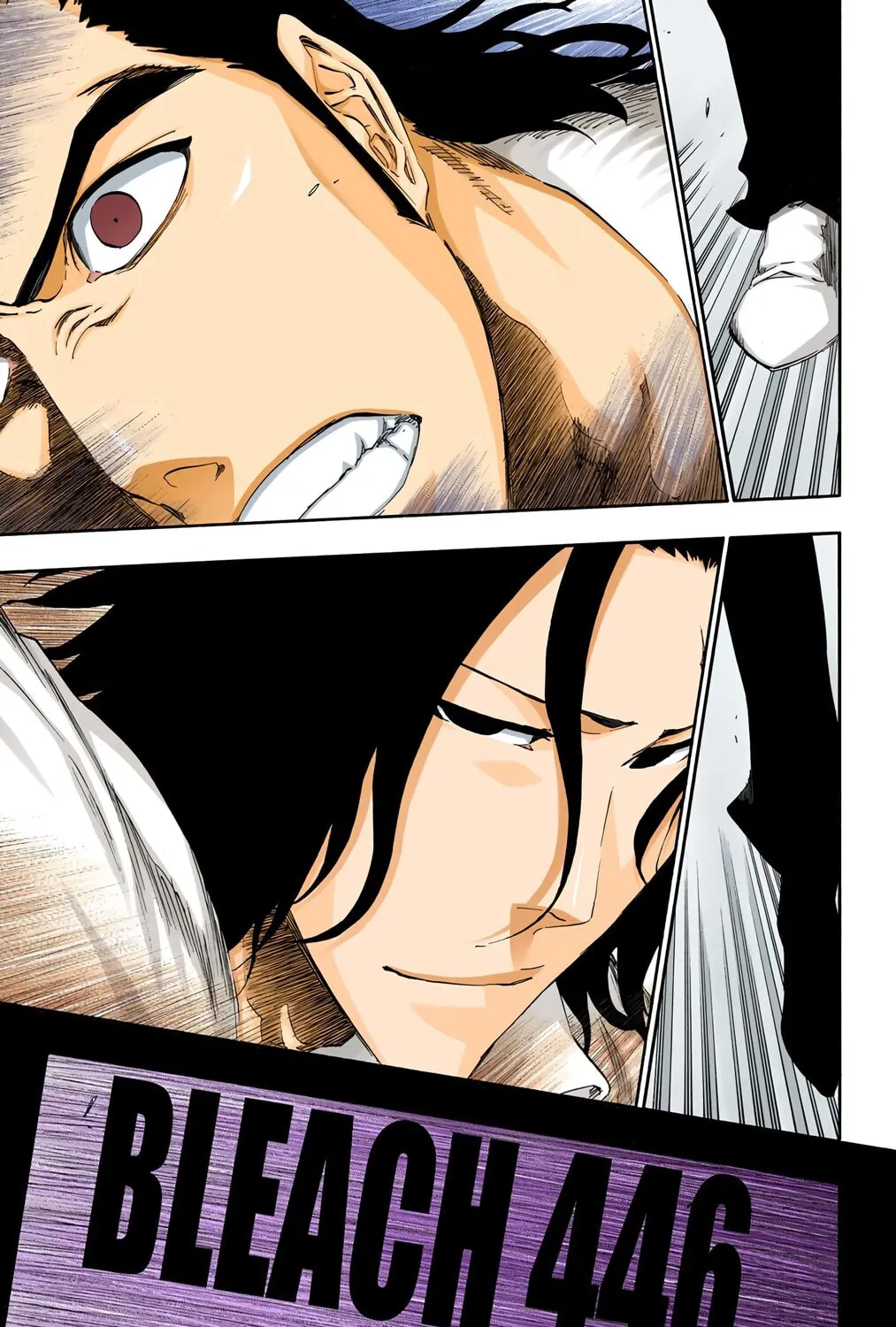 Bleach Colored Manga