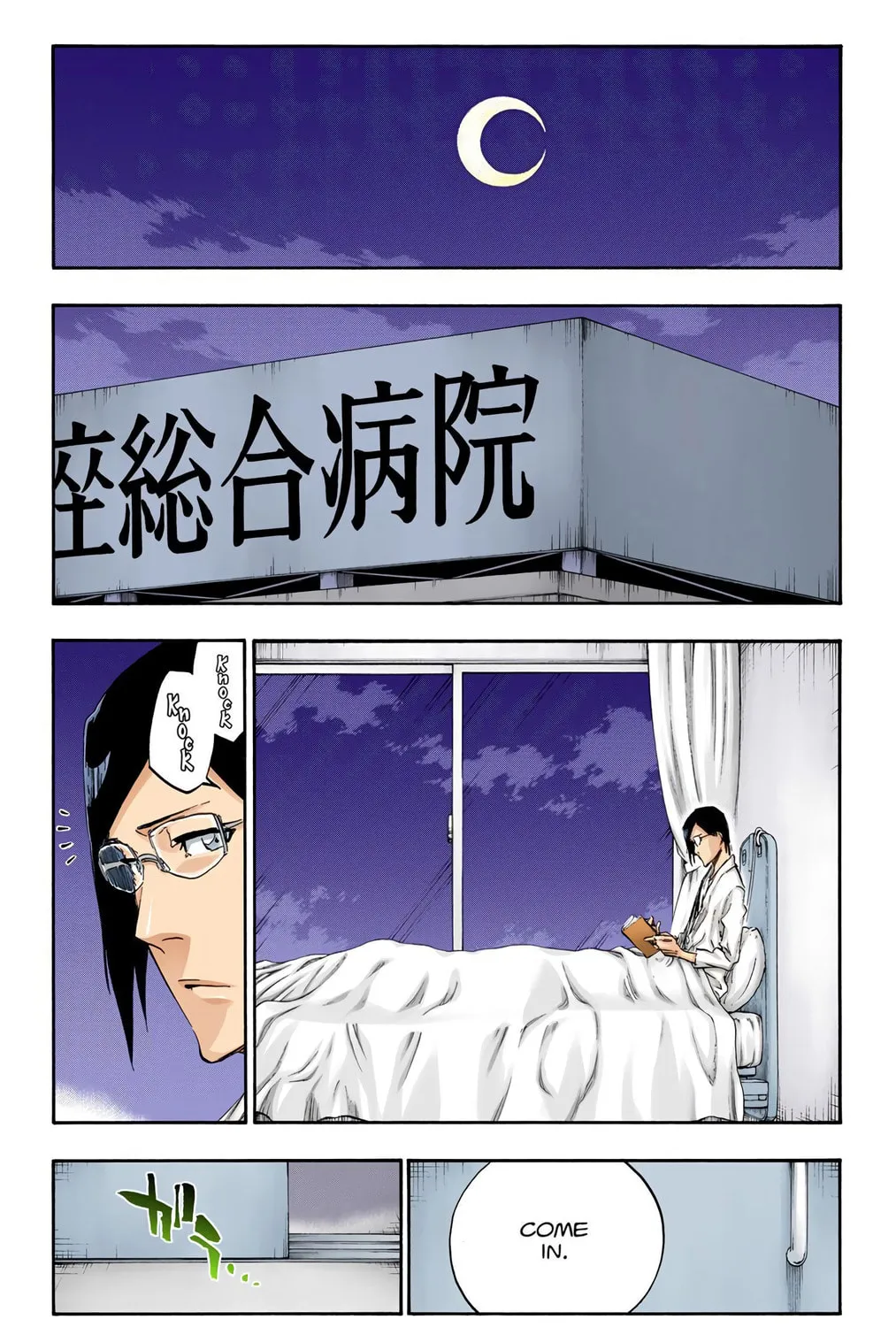 Bleach Colored Manga