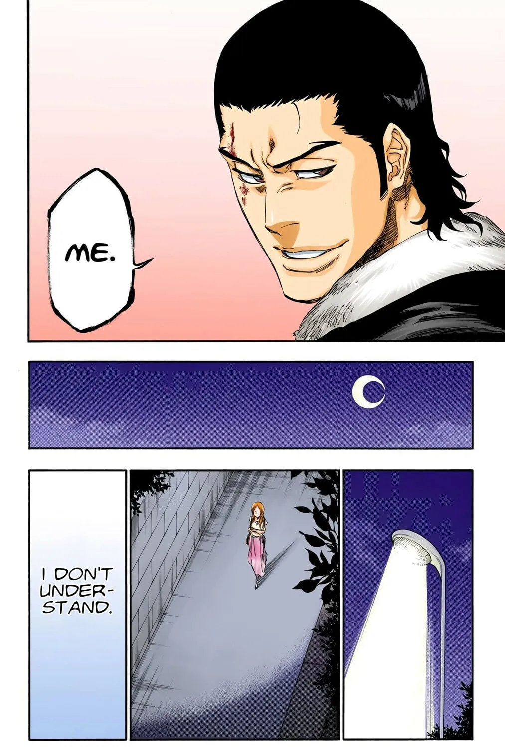 Bleach Colored Manga