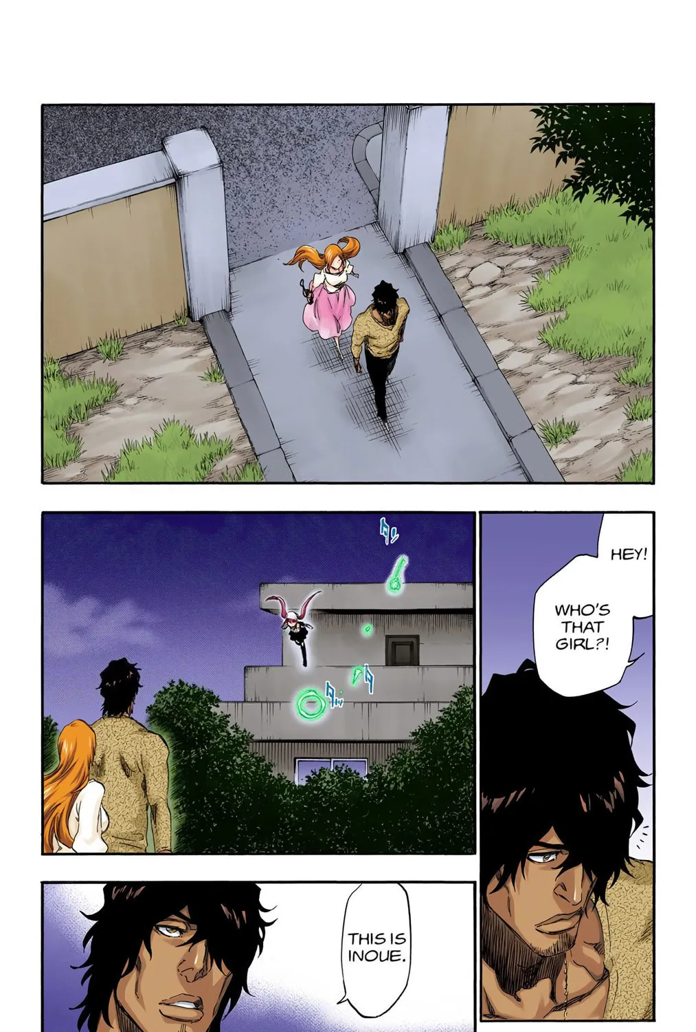 Bleach Colored Manga