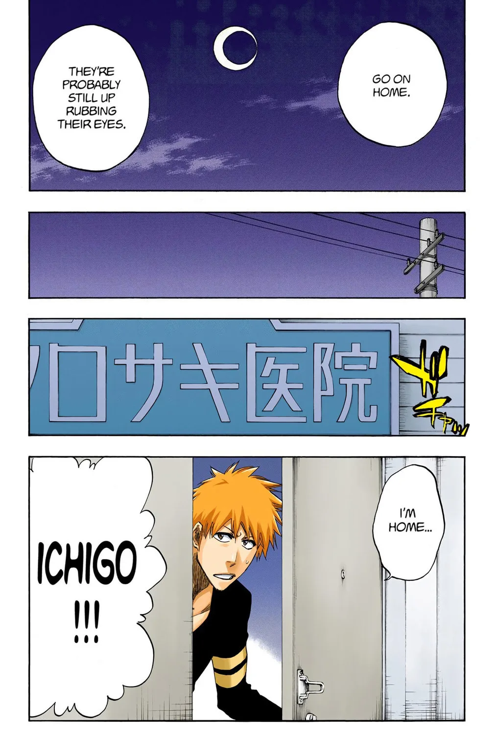 Bleach Colored Manga