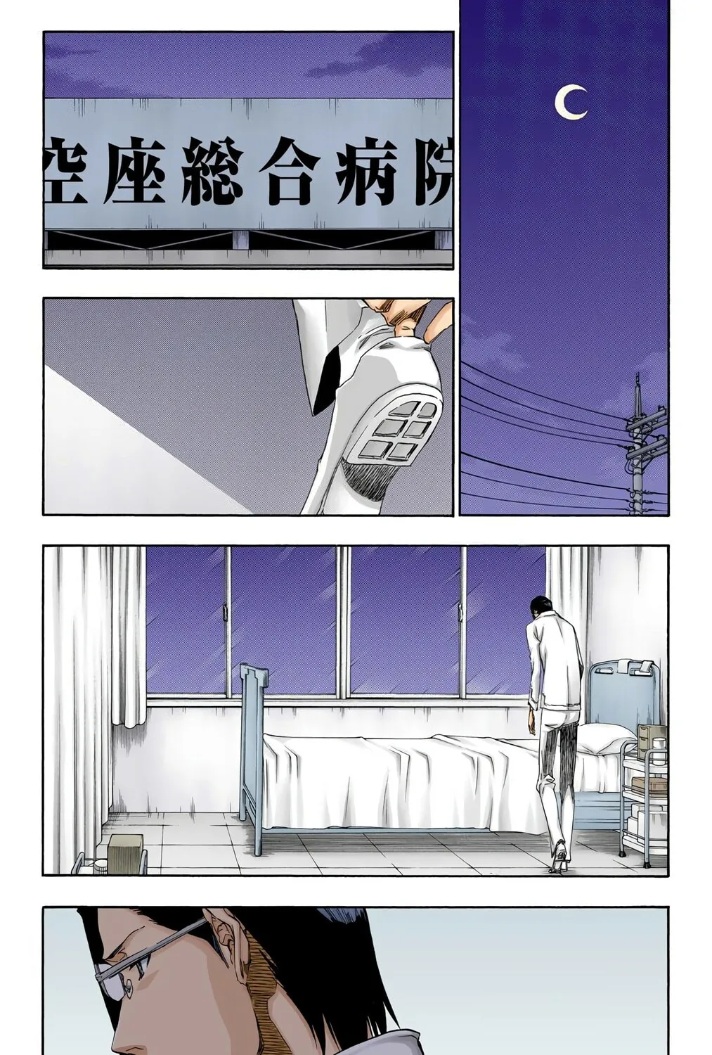 Bleach Colored Manga