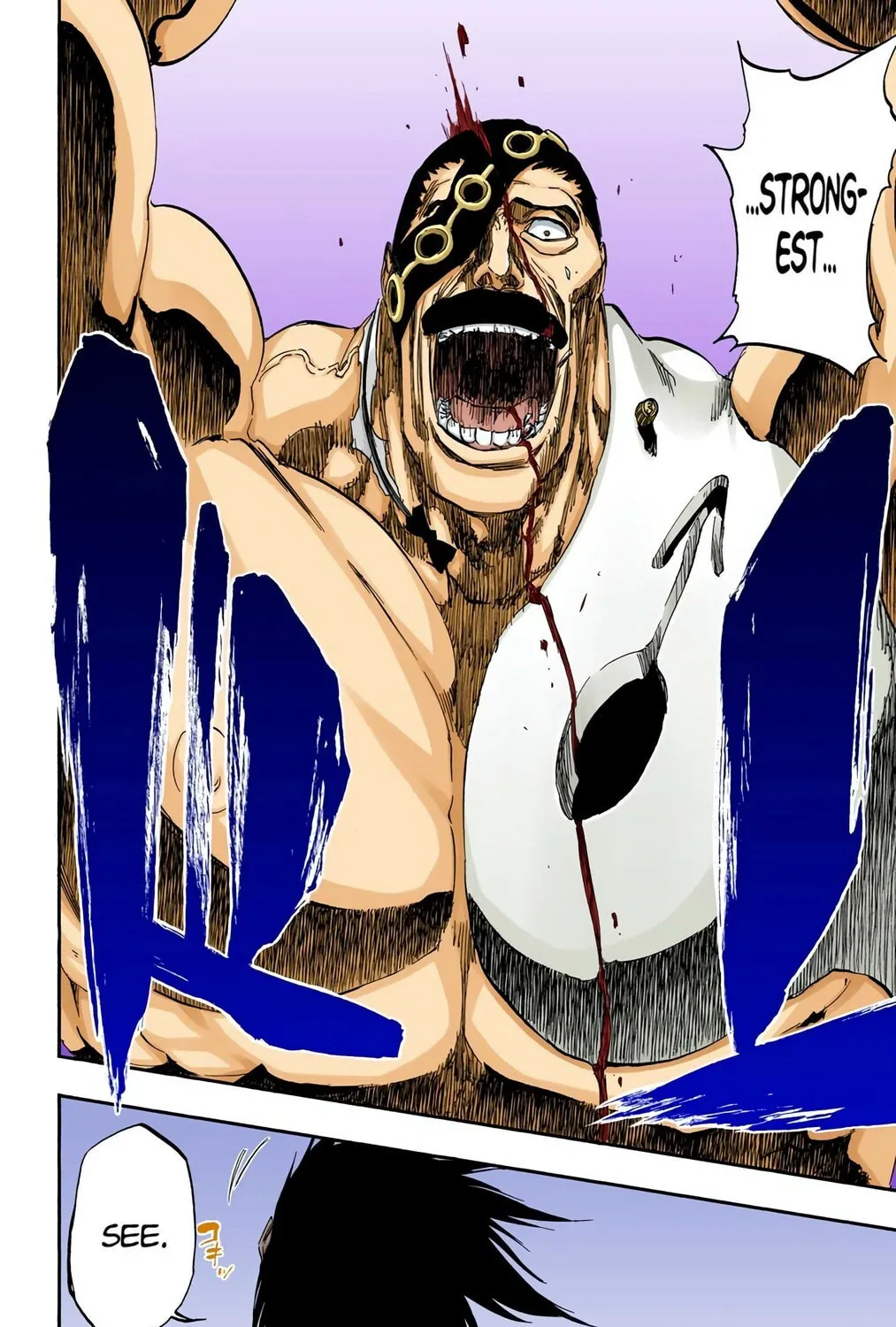 Bleach Colored Manga