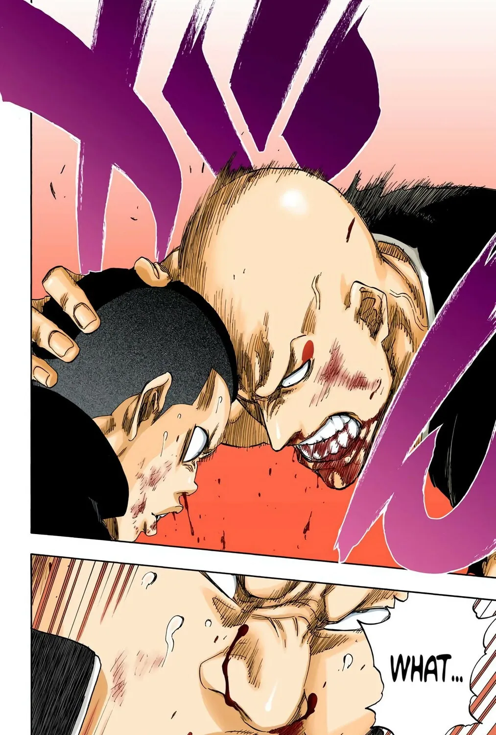 Bleach Colored Manga