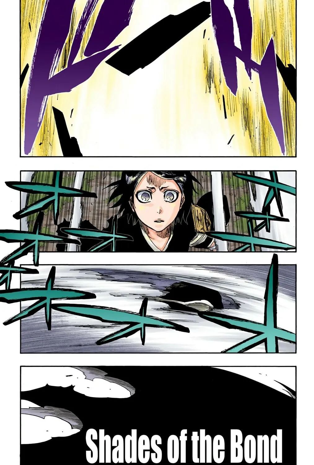 Bleach Colored Manga