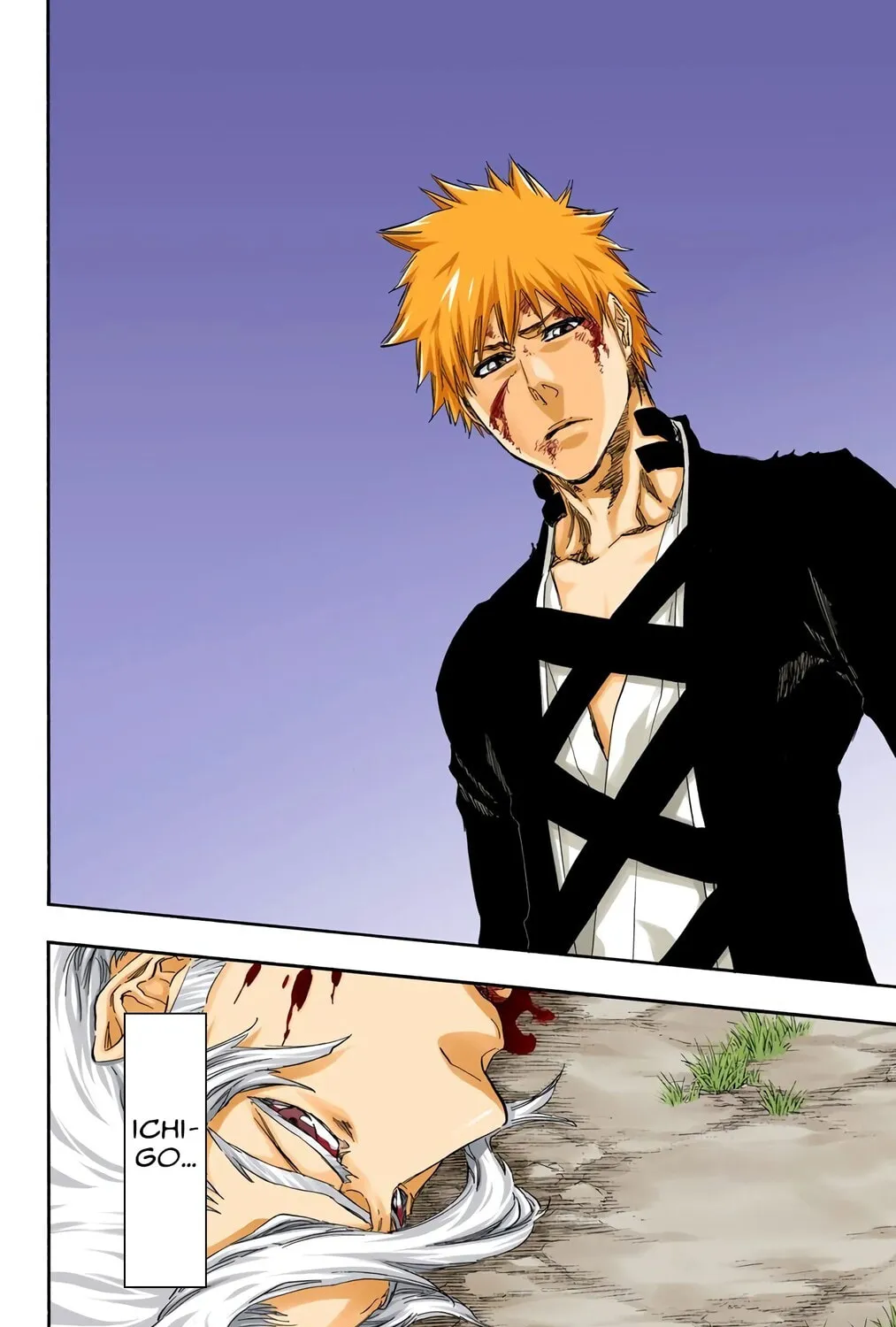 Bleach Colored Manga