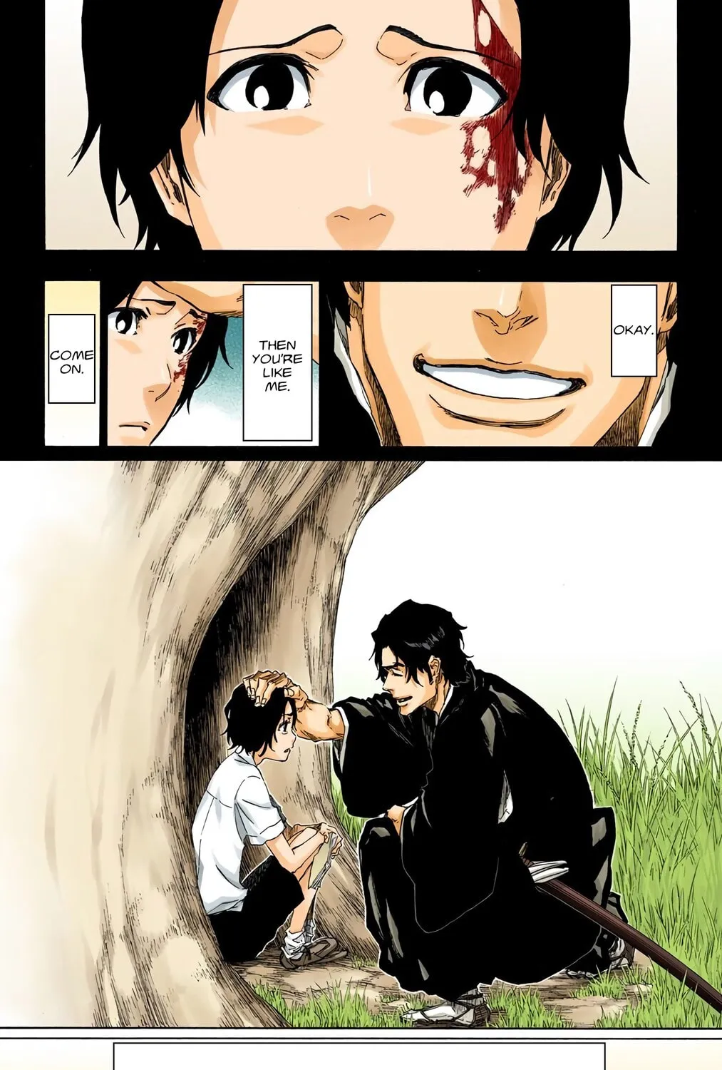Bleach Colored Manga
