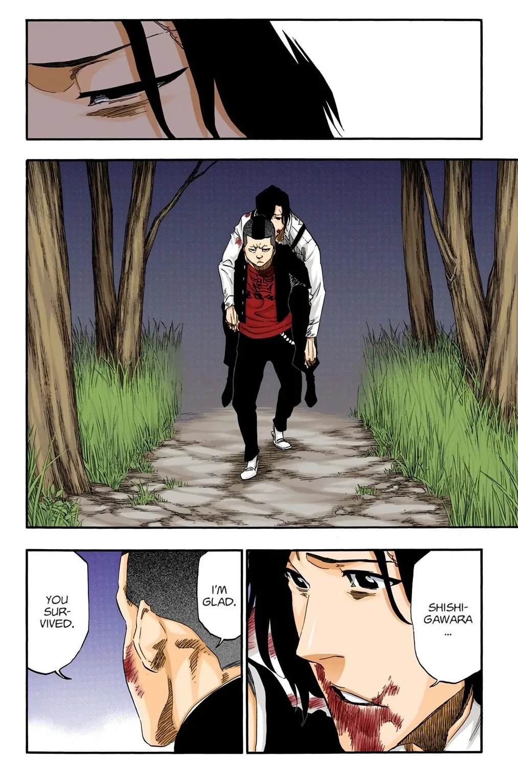 Bleach Colored Manga
