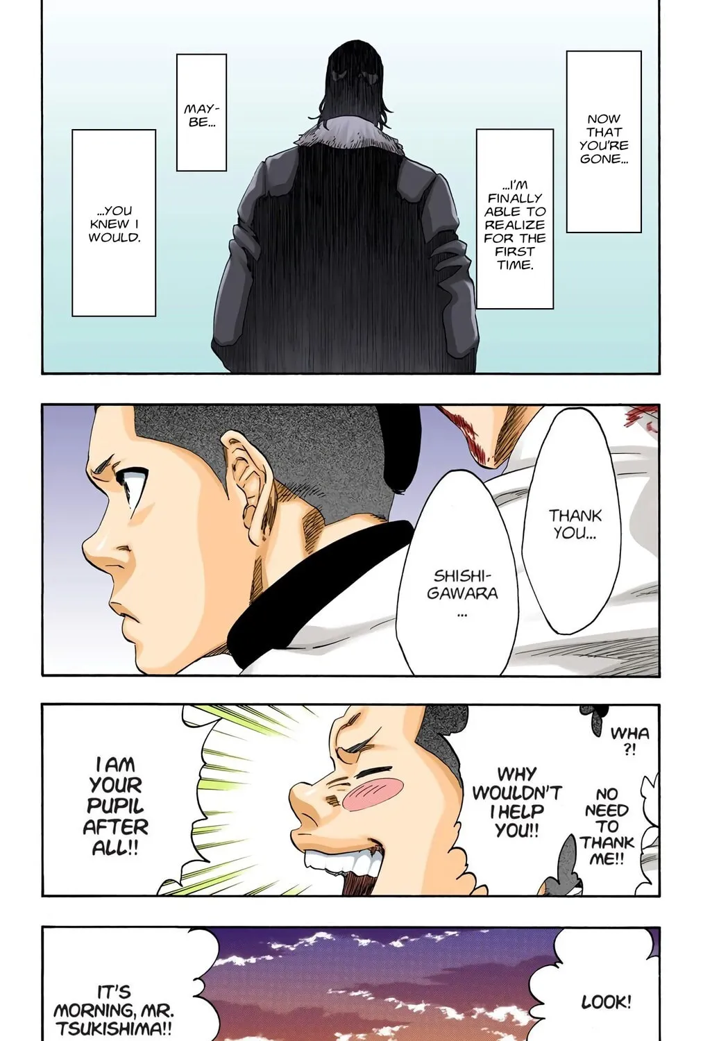 Bleach Colored Manga