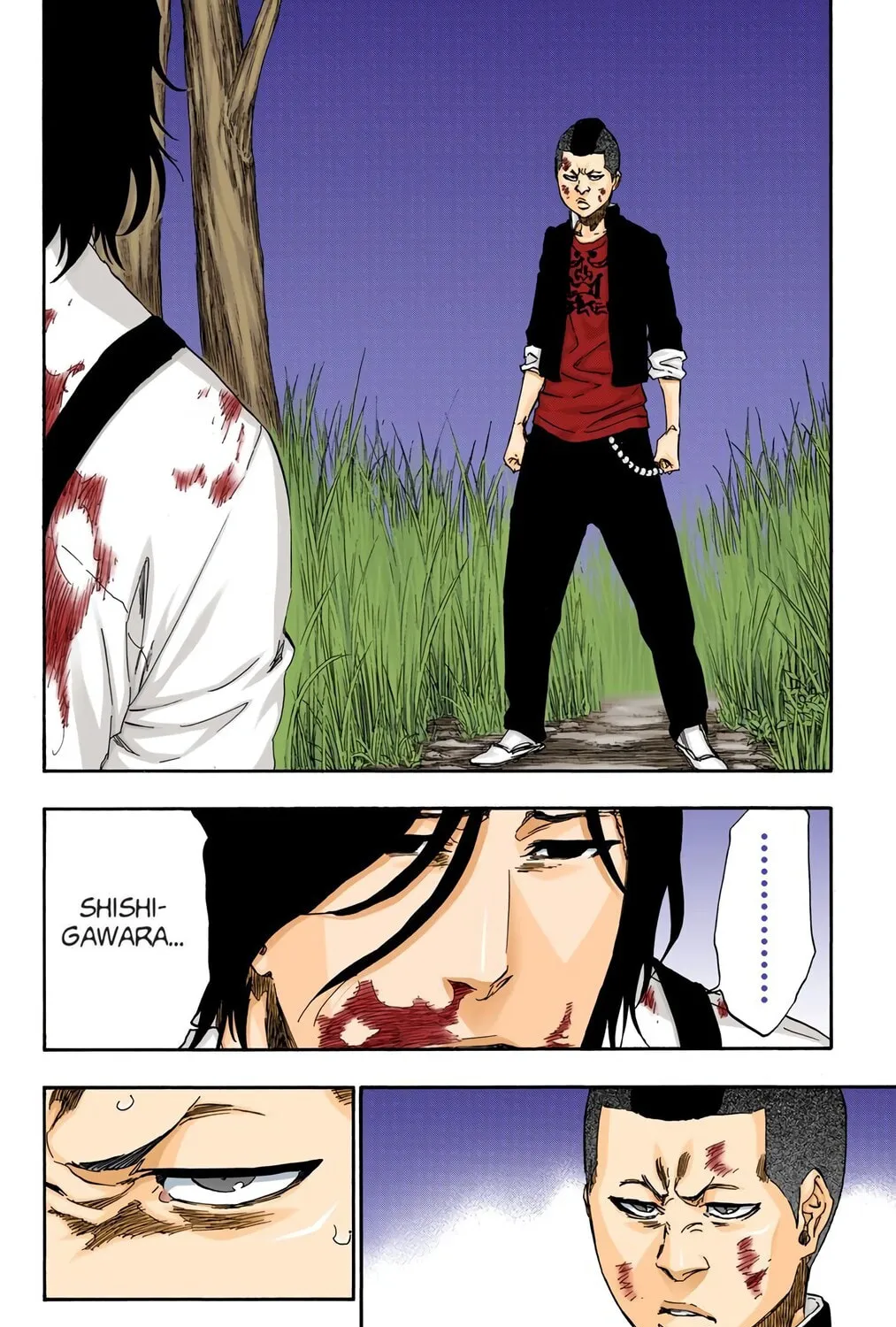 Bleach Colored Manga