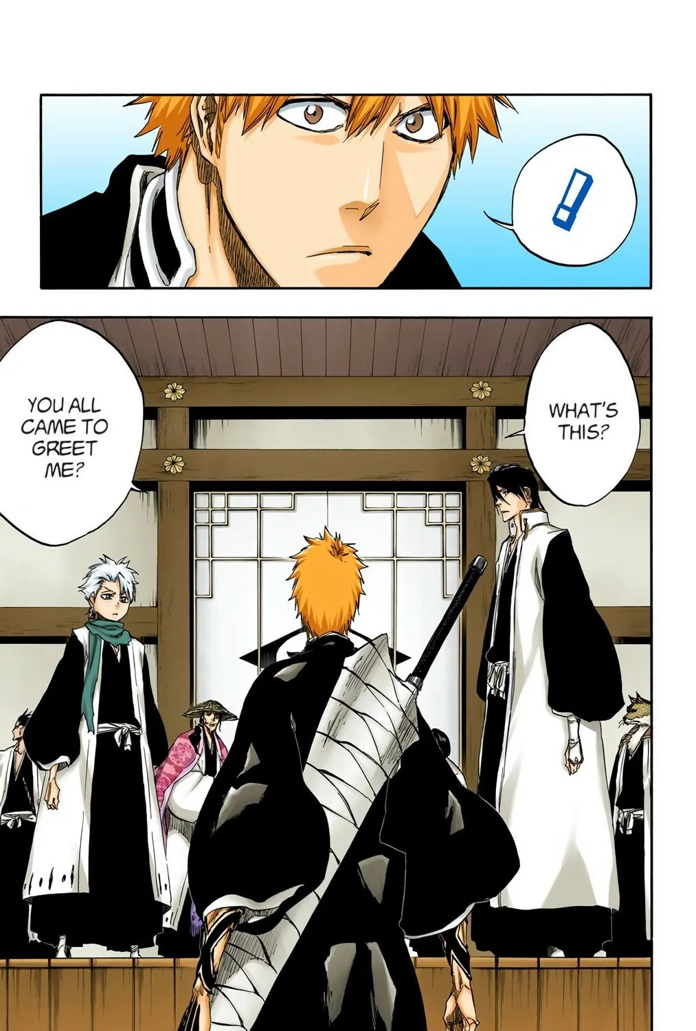 Bleach Colored Manga