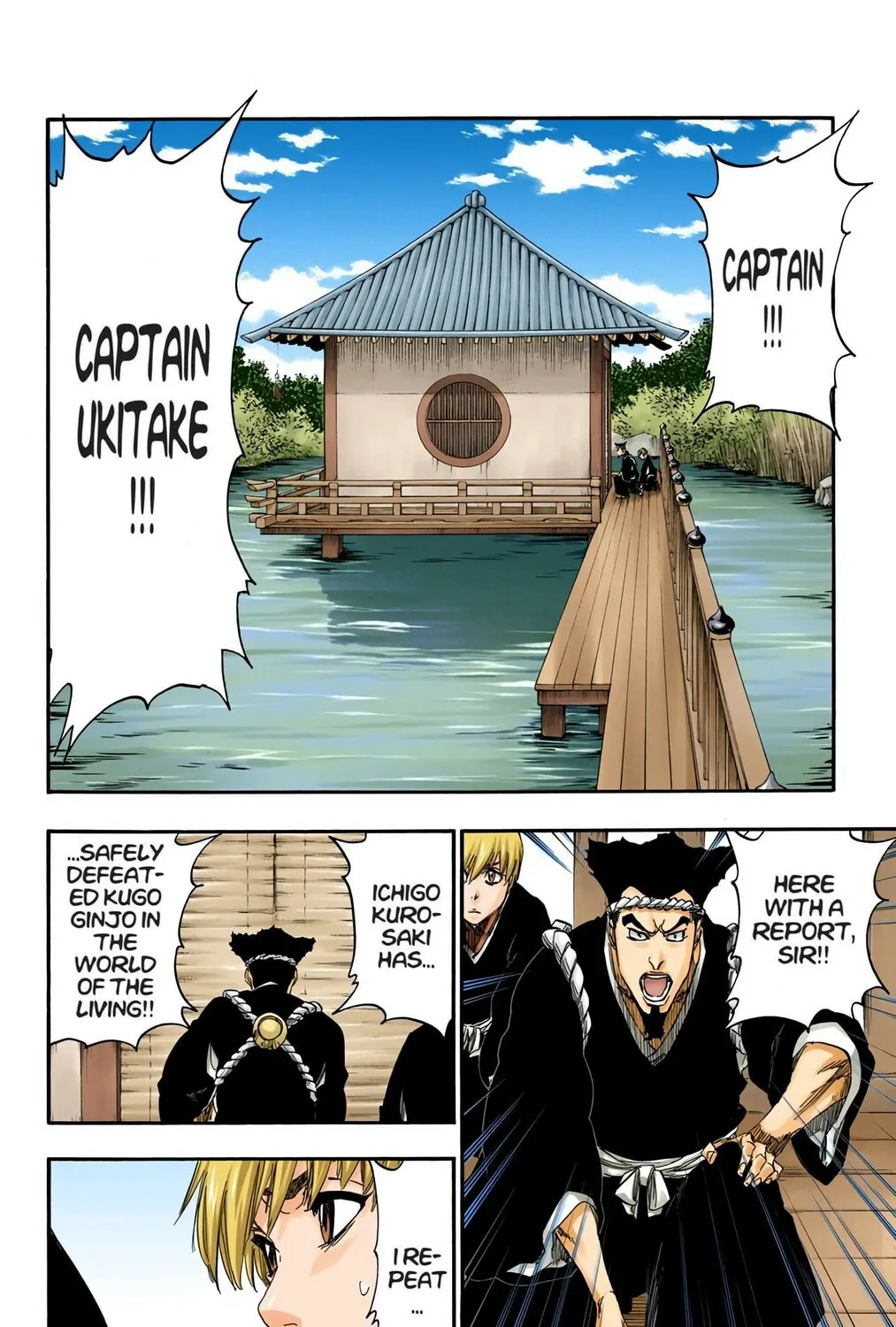 Bleach Colored Manga
