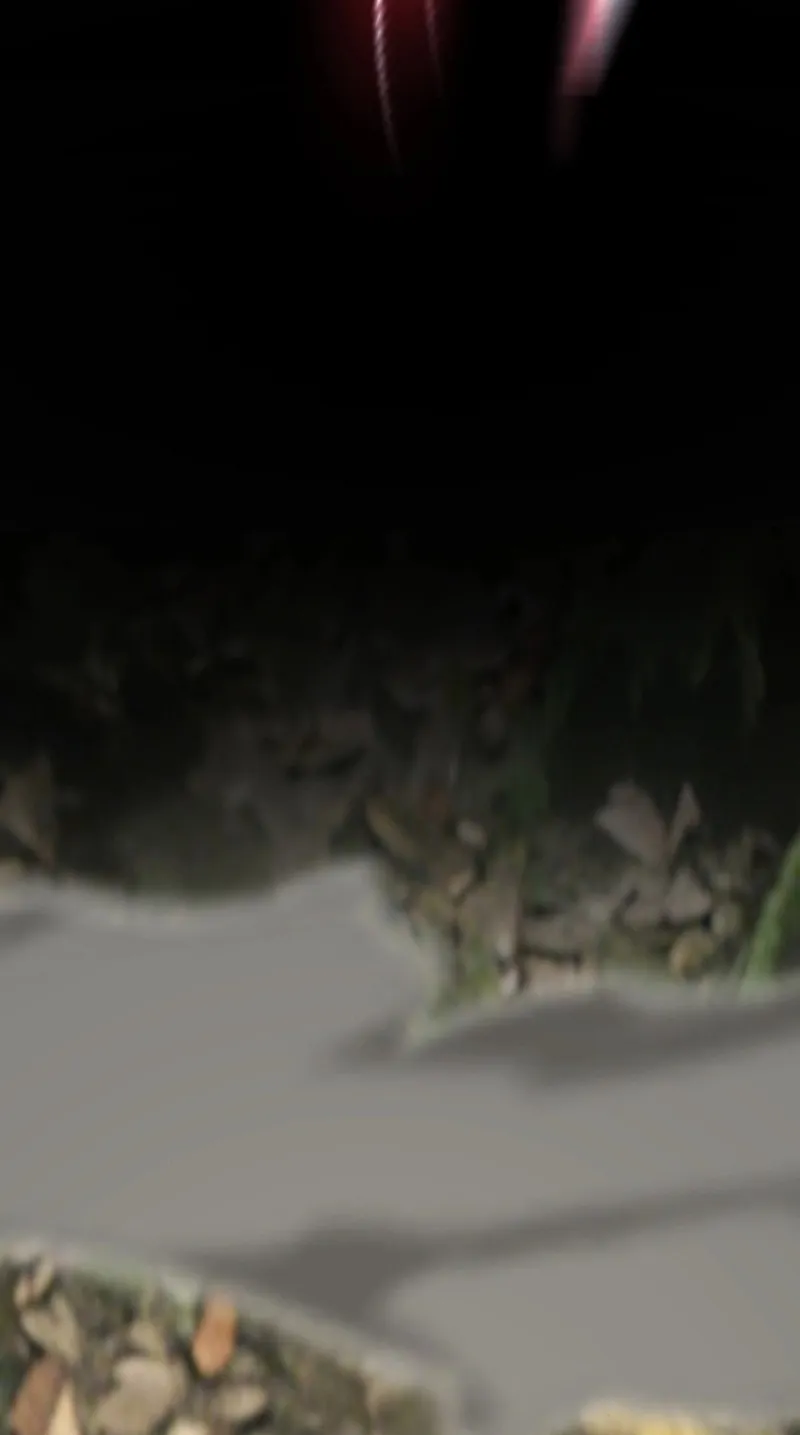 I Start with Mythical Talent, One Sword Slays Kings!