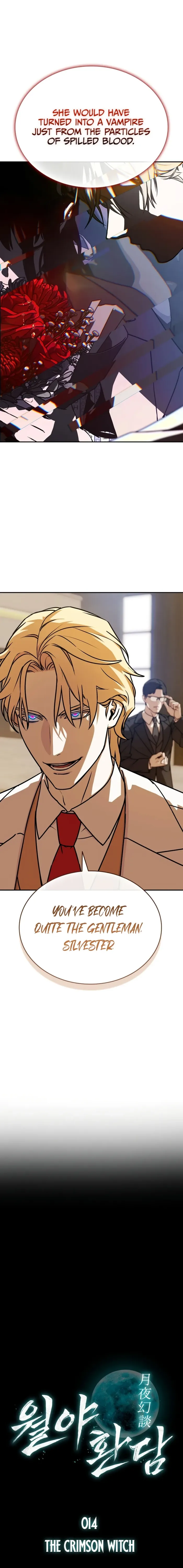 After the Moonlight Falls