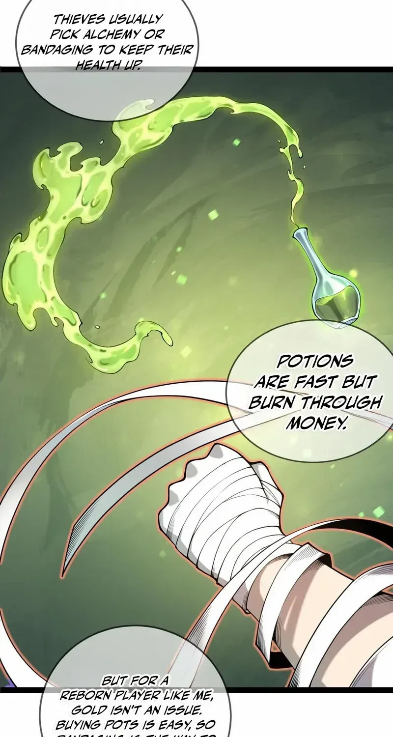 Rebirth of the Thief Who Roamed the World