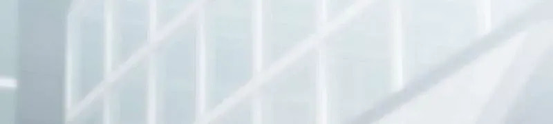 The Regressor Can Make Them All