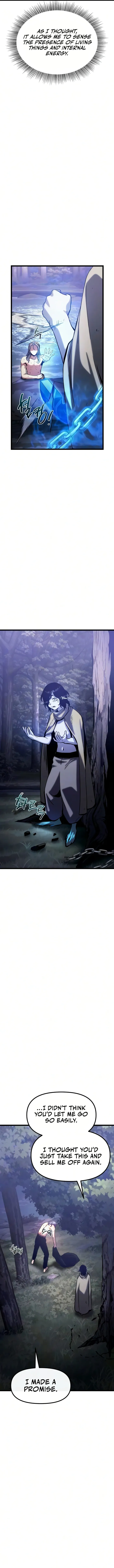 The Shepherd Wizard