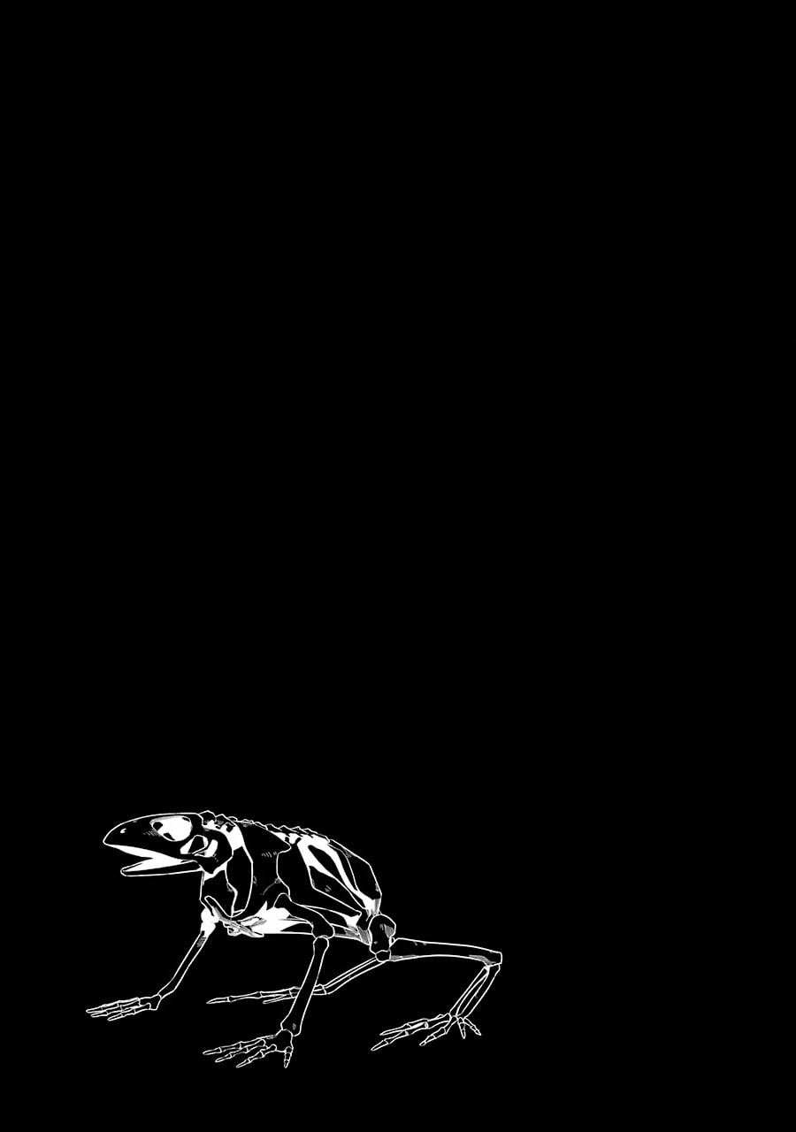 The Executed Sage Who Was Reincarnated as a Lich and Started an All-Out War