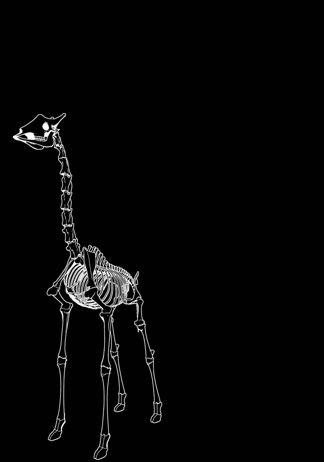 The Executed Sage Who Was Reincarnated as a Lich and Started an All-Out War