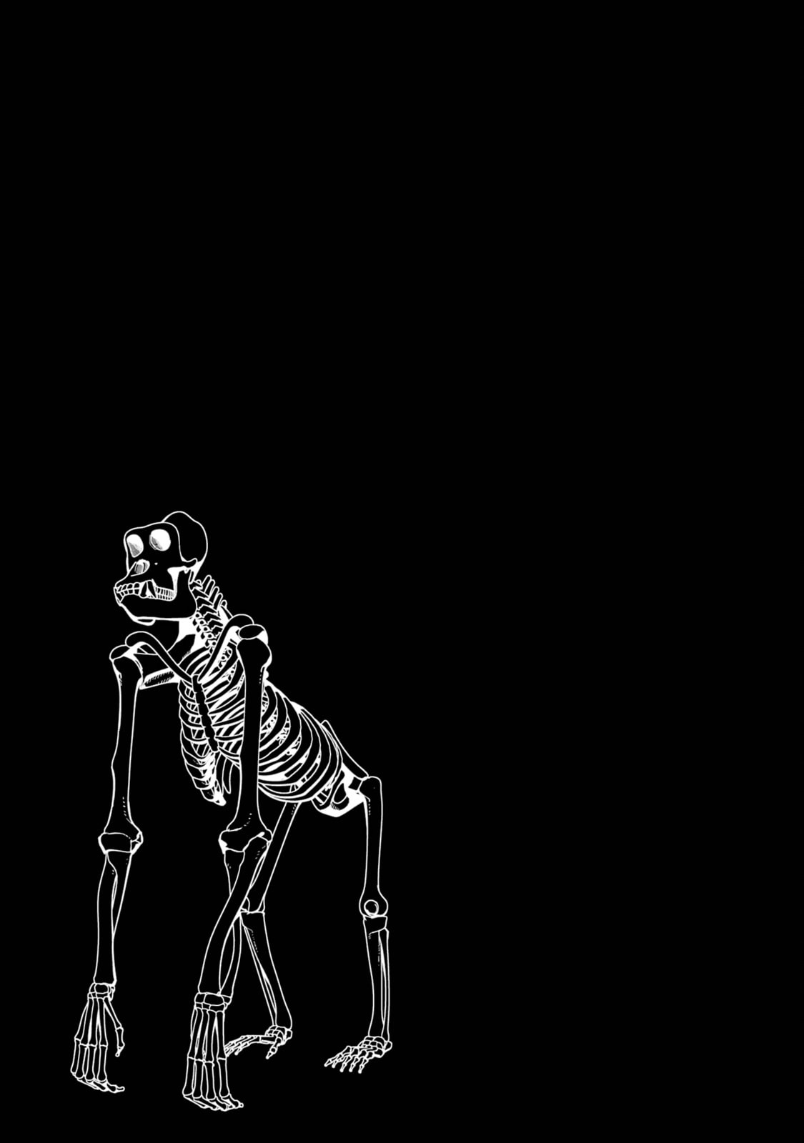 The Executed Sage Who Was Reincarnated as a Lich and Started an All-Out War