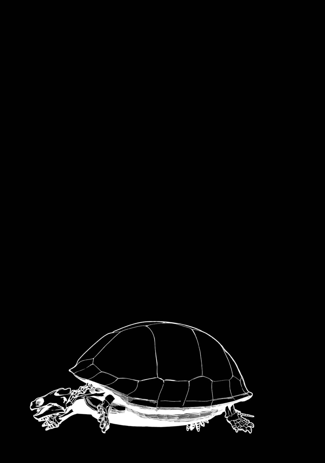 The Executed Sage Who Was Reincarnated as a Lich and Started an All-Out War