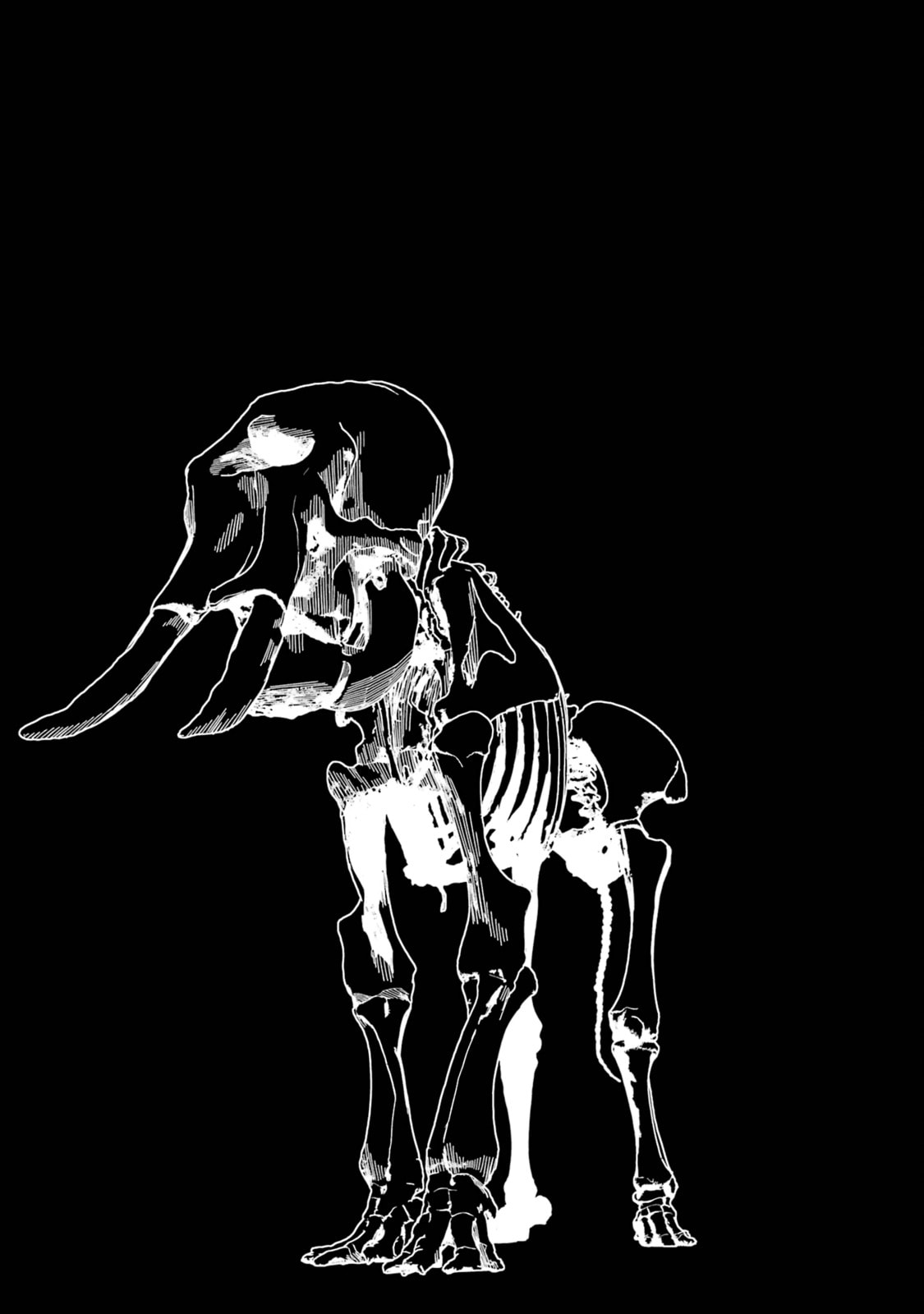 The Executed Sage Who Was Reincarnated as a Lich and Started an All-Out War