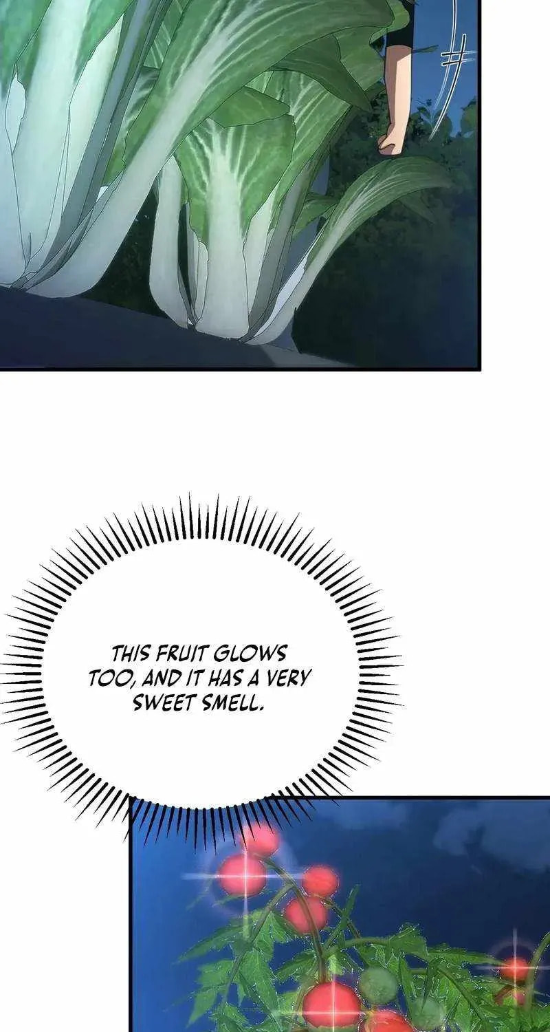 The SS-Rank Freshman at Dawn Academy