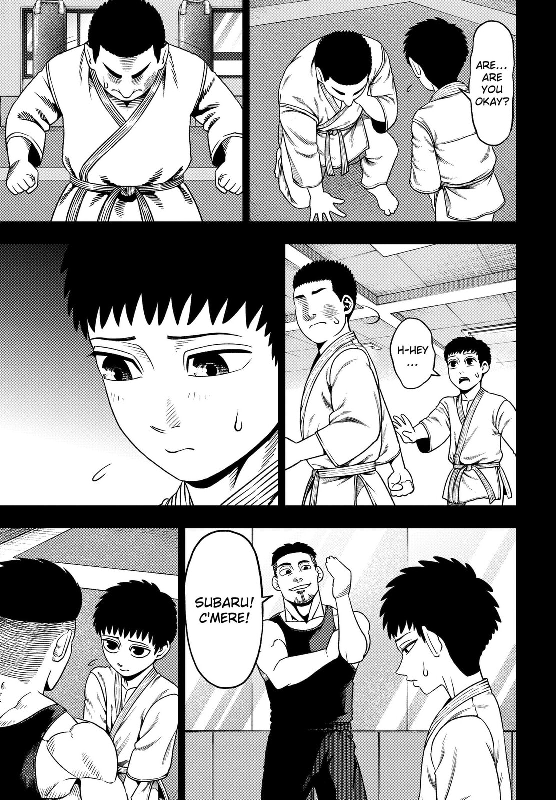 Subaru the Invincible