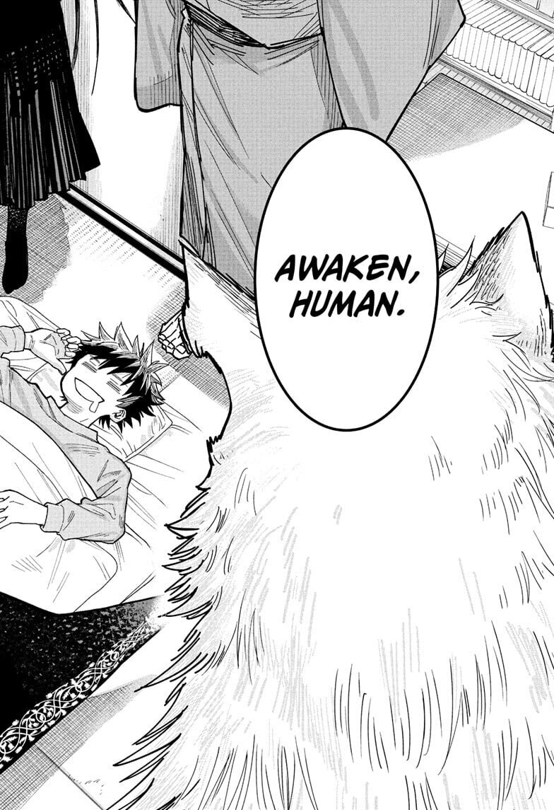 Roku's House of Oddities